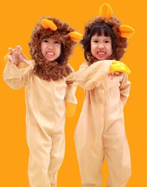 Lion King Costume for kids singapore