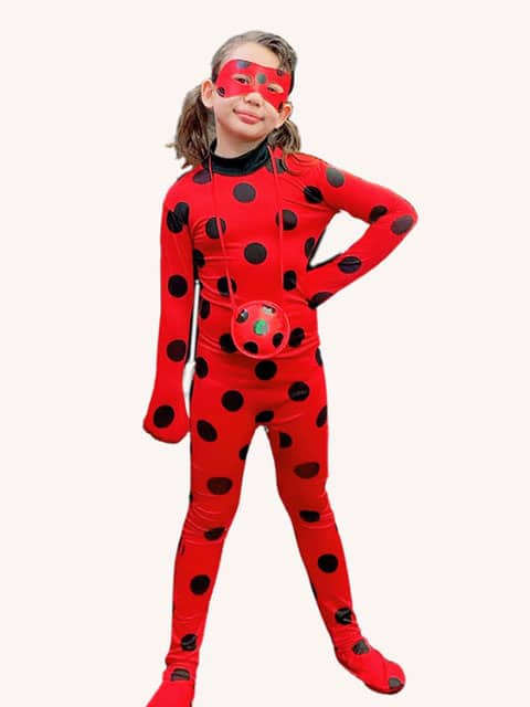 ladybug fantastic super Costume