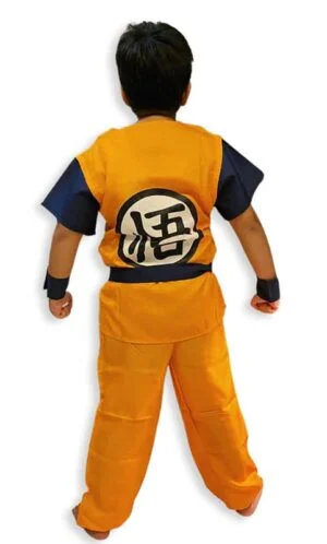 Dragon Ball Z anime series theme costume