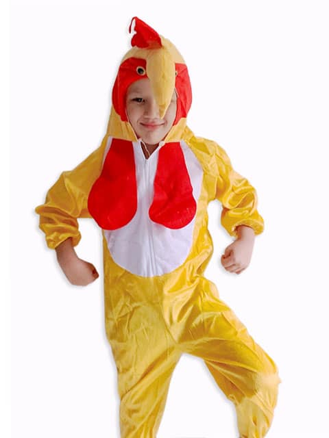 Chicken Suit Costume