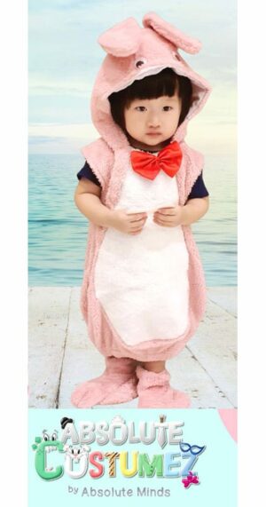 Powder Pink Rabbit Costume