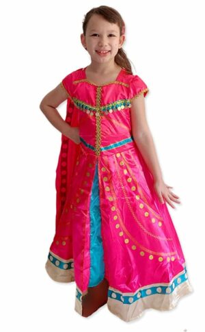 Indian Princess Traditional dress