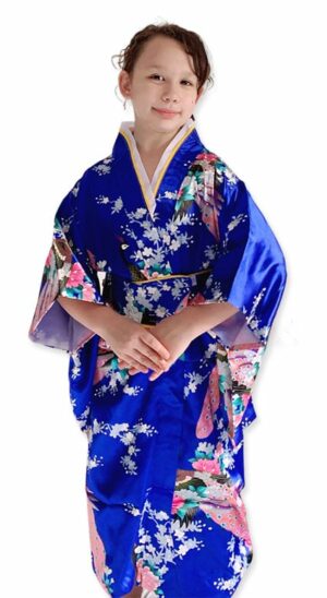Japanese Kimono Royal costume