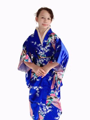 Japanese Kimono Royal costume