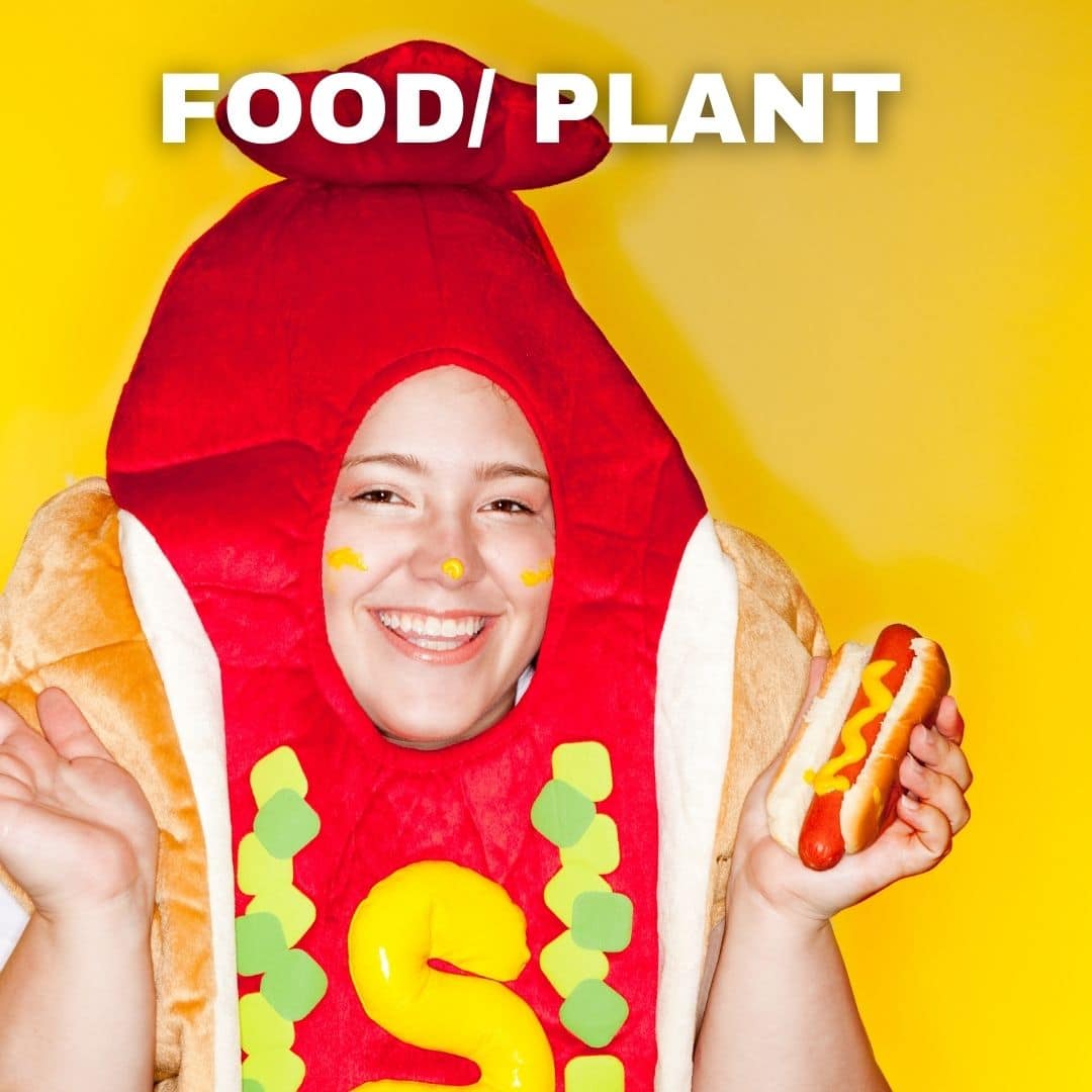 food and plant costume for kids