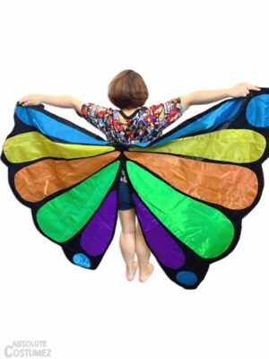 Adult butterfly Costume.