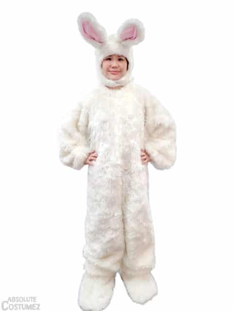 Easter Bunny Adult costume
