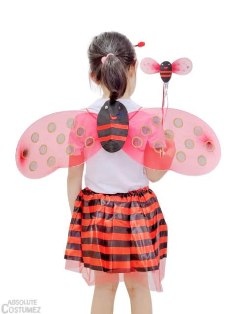 Lady Bug Set costume
