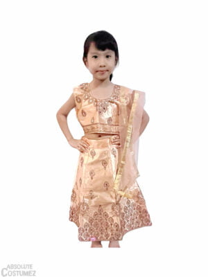 Indian Festive Girl dress singapore