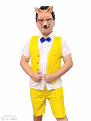 Fantastic M Fox costume for children singapore