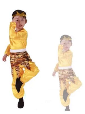 Sun Wu Kong / Monkey God costume form children singapore