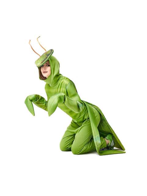 Preying Mantis Adult costume singapore