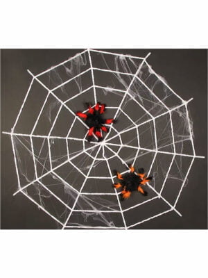 Spider Web Decoration + spiders