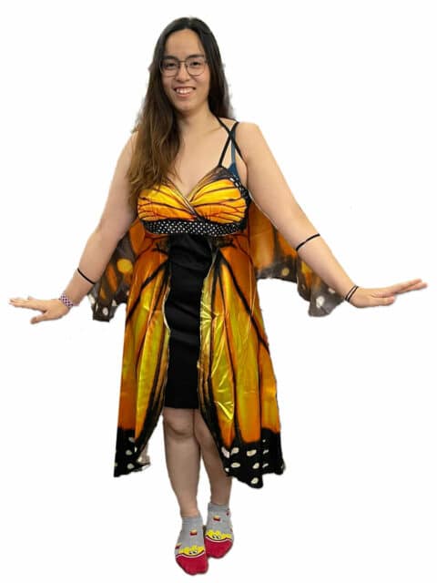 Adult Butterfly singapore costume