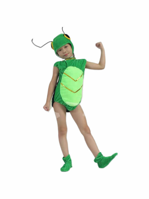 Grasshopper Costume Singapore