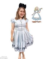 Alice In Wonderland Adult costume Singapore